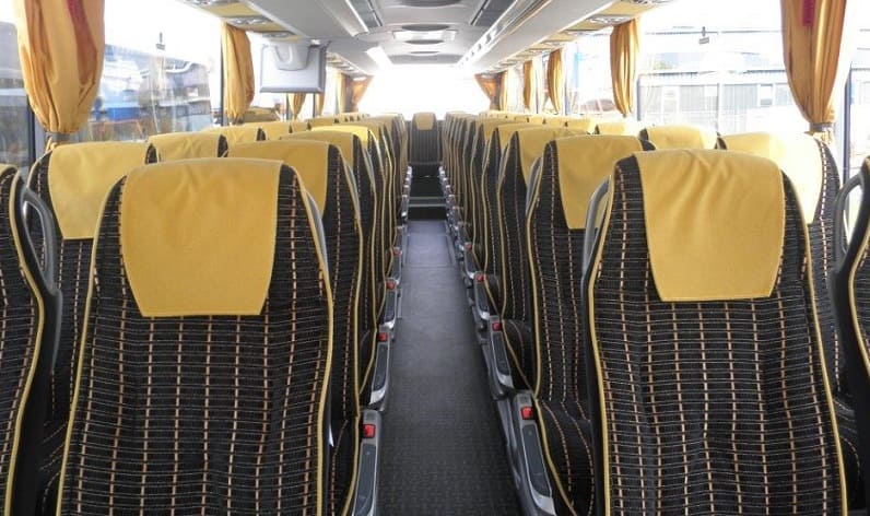 Switzerland: Coaches reservation in Zürich in Zürich and Hinwil